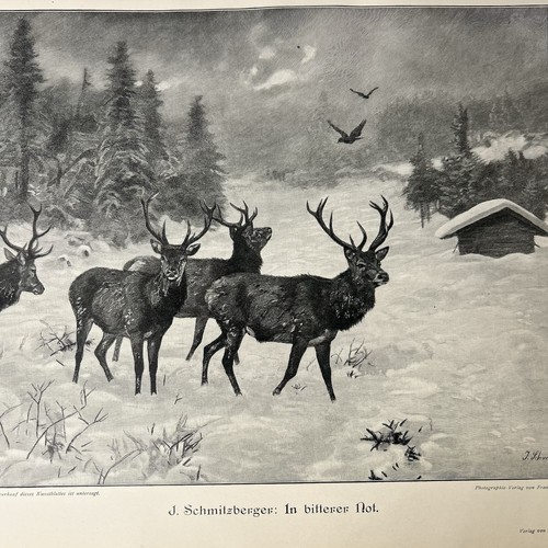 Schmitzberger stampa antica - j,