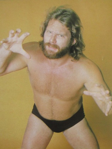 Wwf wrestling superstars july - wrestling,