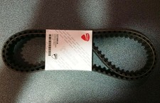 73710051A COPPIA CINGHIE