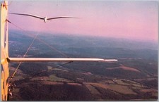 ELMIRA, NY Cartolina Aviazione