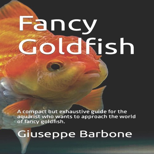 Fancy goldfish compact but - fancy, goldfish: