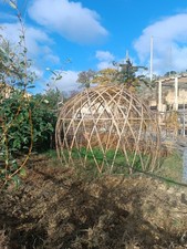 cupola bambù