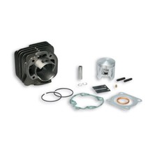 Malossi D 47 Cast Iron Pin 10