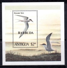 Barbuda 1980 Roseate Tern Mint