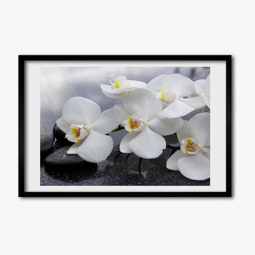 Quadro tulup mdf incorniciato - quadro,