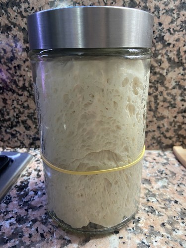 Lievito madre fresco - , /