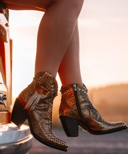 Stivaletti vaquero edera - vaquero,