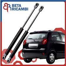 Molle a Gas Pistoncini Cofano