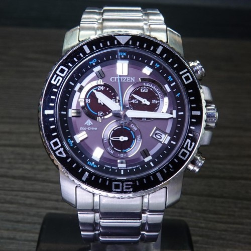 Citizen promaster land e610 - promaster,
