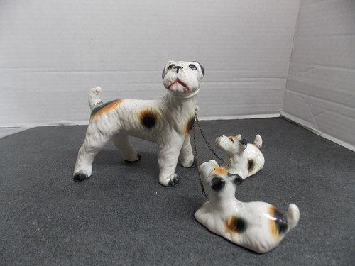 Fox terrier mamma cane - , e