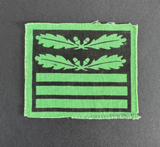 WW2 German Waffen SS Standartenfuhrer Officer's Camouflage Rank Badge