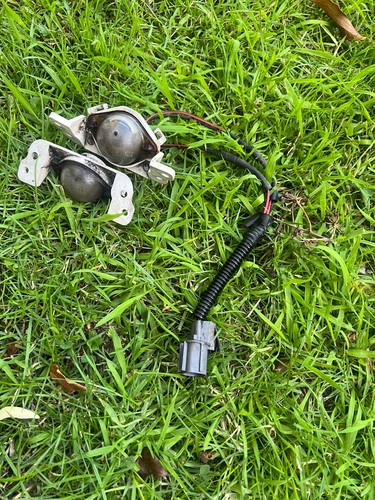 Luce targa posteriore honda - luce,
