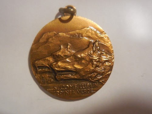 Medaglia distretto militare - medaglia,