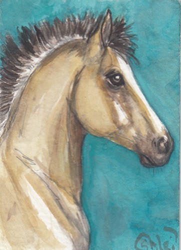 Aceo originale acquerello arte - originale,