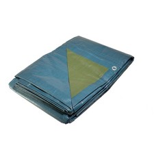 Telo IN Plastica Blu E Verde