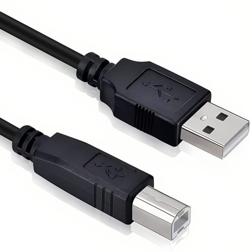 Usb cord cable - cable, lead