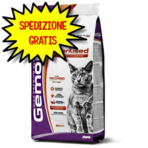 Gemon gatto adulto - gatto,