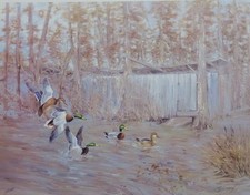 OWENS BLIND BEAVER CREEK BY