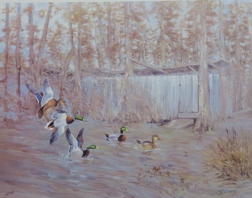 Owens blind beaver - owens, di
