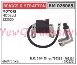Bobina accensione briggs - , &