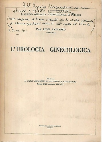 Urologia ginecologica - l'urologia,