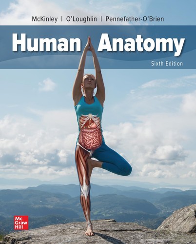 Loose leaf for human - leaf, anatomy