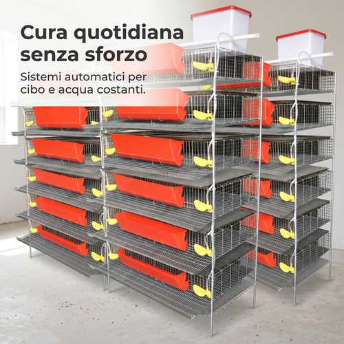 Gabbia per quaglie - gabbia,