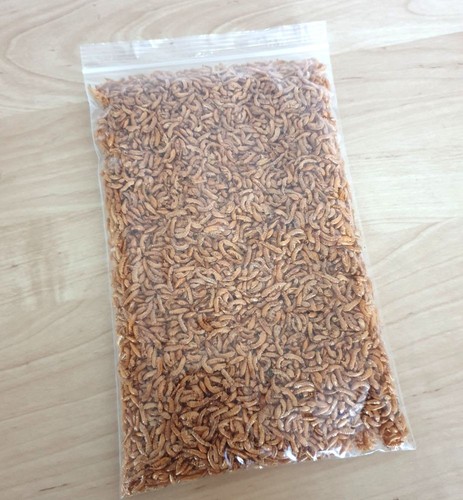 Gammarus liofilizzato 50g - liofilizzato, |