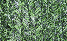 SIEPE ARELLE OMBREGGIANTE