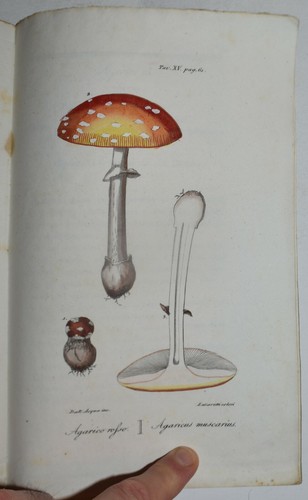 Flora medica fig 1833 - medica,