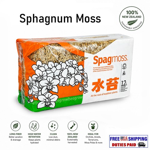 Sphagnum muschio besgrow - muschio,