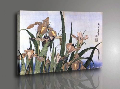 Katsushika hokusai fiori - 🌼,