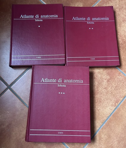 Atlante anatomia sobotta - atlante, di