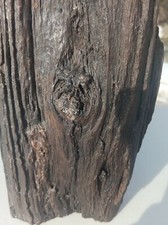 Torre fossile legno ferro