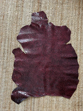 Vera pelle di Montone Stampa