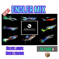 ✅NOVITÀ! MIX 10 Endler