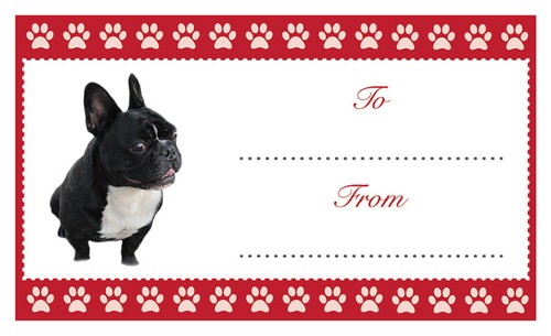 French bulldog dog christmas - bulldog,