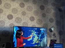 Roku Polaroid Tv numero