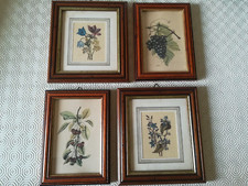 Set 4 mini quadri stampe