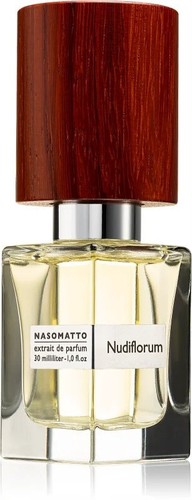 Nasomatto nudiflorum - nasomatto, •