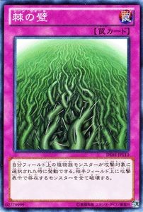 Ocg muro di spine - ocg,