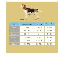 Scarpette Cane neve pioggia