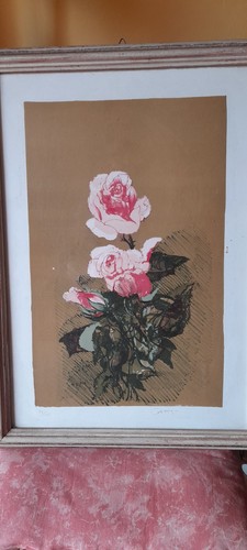 Cazzaniga giancarlo rose - cazzaniga,