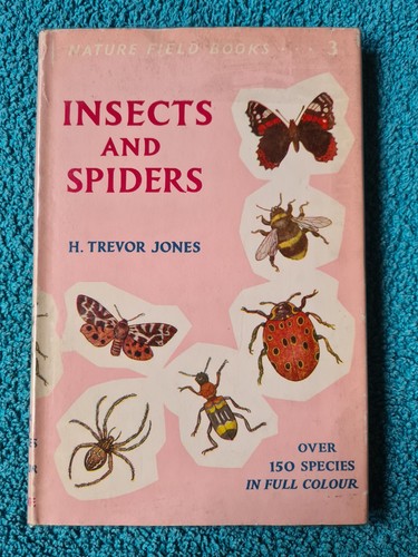 Insects and spiders - insects,