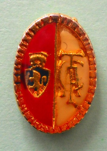Distintivo spilla pin badge - spilla,