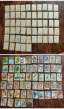 Sequenza 55 figurine TOM STORY