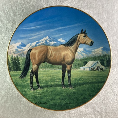The quarter horse - the,