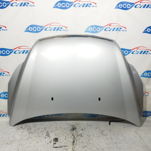 Cofano anteriore grigio - , ford