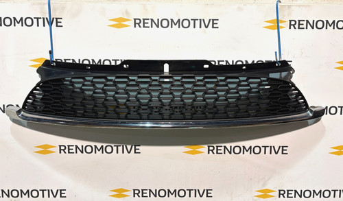 Griglia cofano anteriore bmw - griglia,