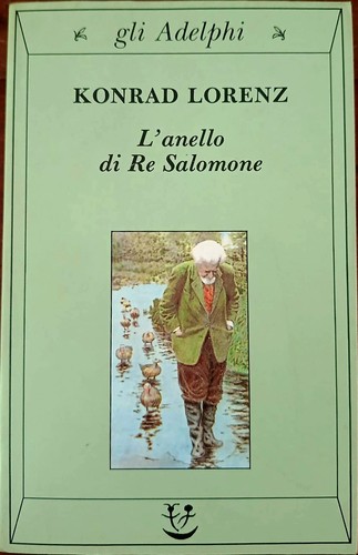Anello re salomone - di,
